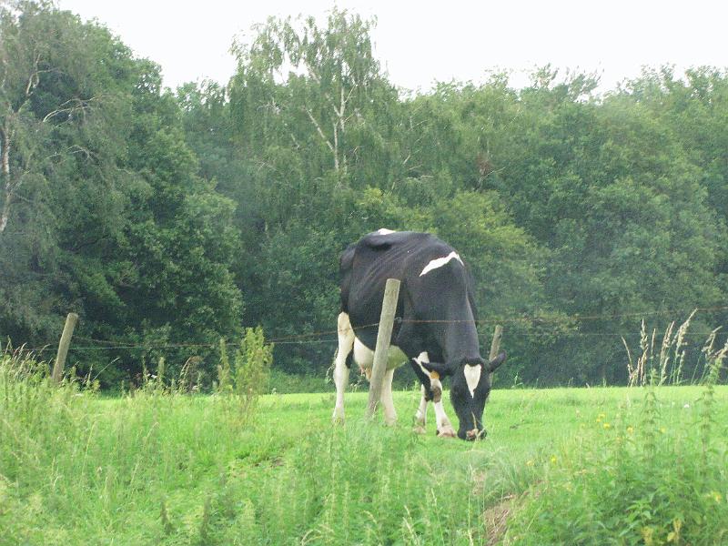 Chris en Toine (114).jpg